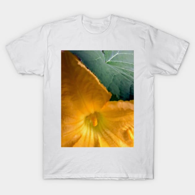 Pumpkin Blossom & Foliage T-Shirt by Hajarsdeco